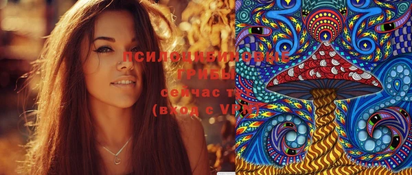 СК Няндома