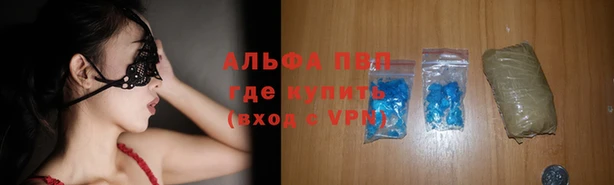 PSILOCYBIN Нязепетровск