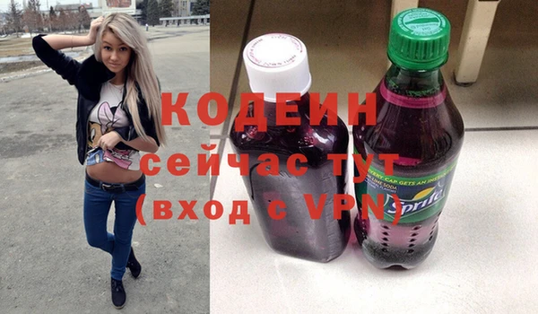 СК Няндома