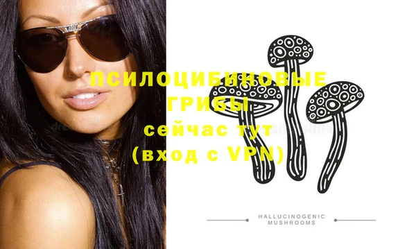 бошки Зеленодольск